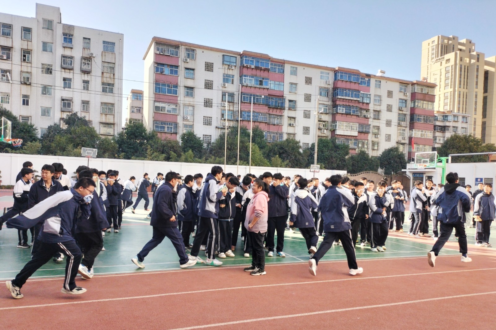 80349910.jpg